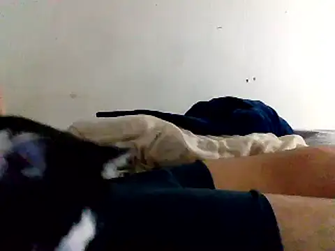 yass56789 online show from November 15, 2025, 11:54 pm