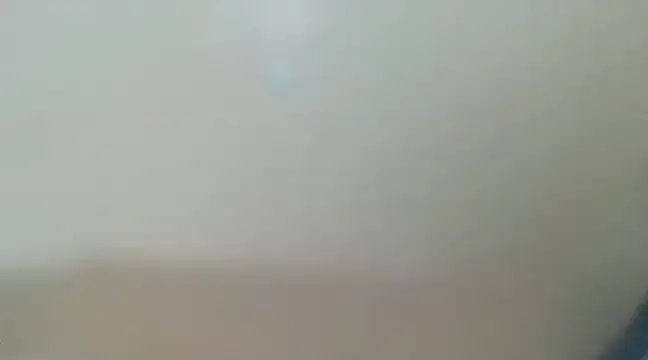 tropicalesen online show from March 8, 2025, 2:19 pm