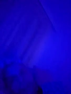 Snapshot of denisxlRo chatting on March 16, 2025, 8:11 pm denisxlRo online show from March 16, 2025, 8:11 pm