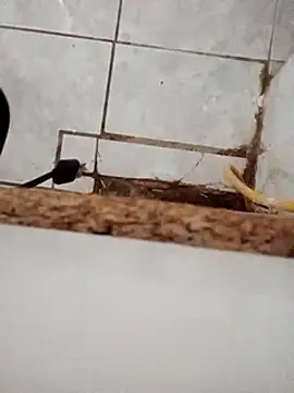 DirtyRcride online show from December 3, 2024, 8:16 am