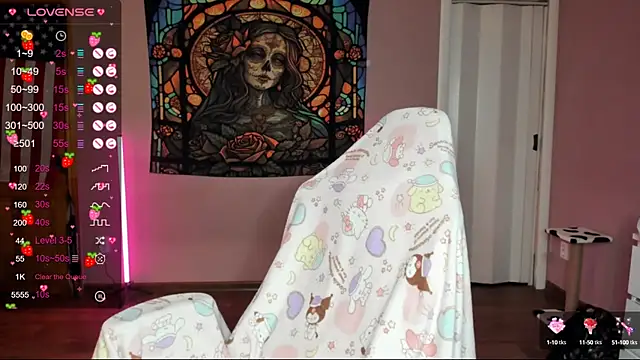 Project hisoka online show from January 24, 2025, 2:18 am