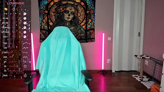 Project hisoka online show from March 4, 2025, 1:06 pm