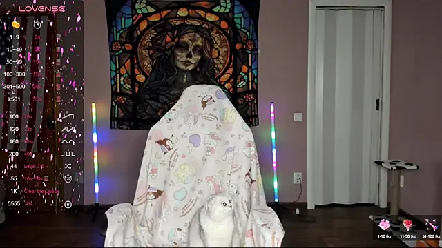 Project hisoka online show from March 9, 2025, 11:58 am