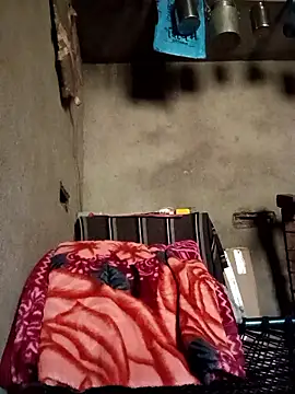 Yasha 14C Creator online show from January 11, 2026, 5:45 am