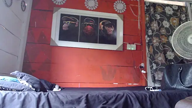 gavi 19cm online show from December 21, 2024, 8:00 pm