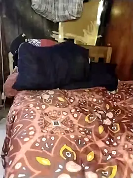 Stallion100 online show from February 12, 2025, 8:06 am