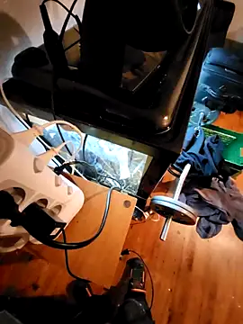 0815lukas2024 online show from December 2, 2024, 8:22 pm