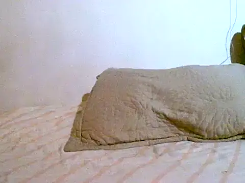 Snapshot of pollarikaaa chatting on March 7, 2025, 2:15 am pollarikaaa online show from March 7, 2025, 2:15 am