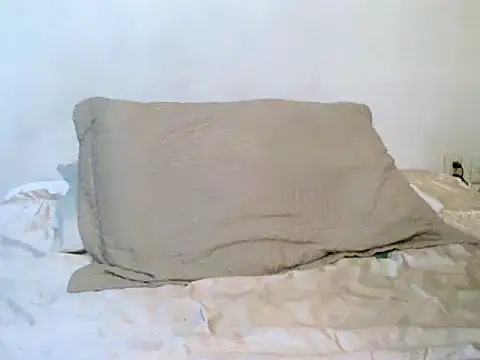 Snapshot of pollarikaaa chatting on October 21, 2025, 2:01 am pollarikaaa online show from October 21, 2025, 2:01 am