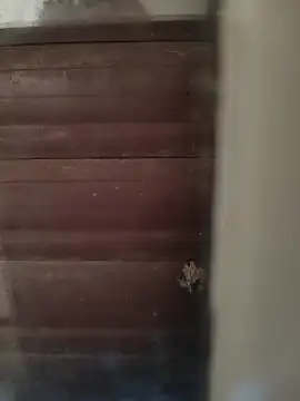 Snapshot of hardgetsex chatting on October 4, 2025, 4:05 pm hardgetsex online show from October 4, 2025, 4:05 pm