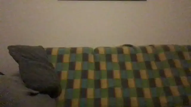 Totipro69 online show from December 4, 2024, 10:19 pm