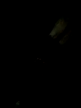 Snapshot of Tamil_boy_age28 chatting on February 20, 2025, 6:46 pm Tamil boy age28 online show from February 20, 2025, 6:46 pm