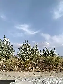 cuplubijoanna online show from September 20, 2025, 4:52 pm