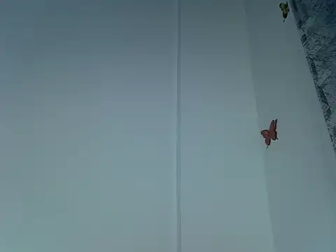 laetitia  online show from September 29, 2025, 10:47 pm