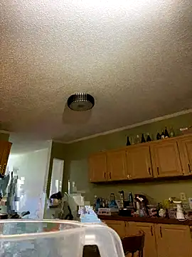 velvetta  online show from December 17, 2025, 4:51 am