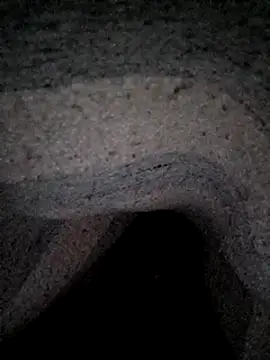 Janle 19c online show from December 26, 2024, 3:27 am