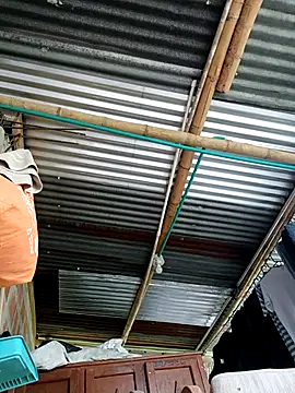 Janle 19c online show from September 14, 2025, 8:08 pm