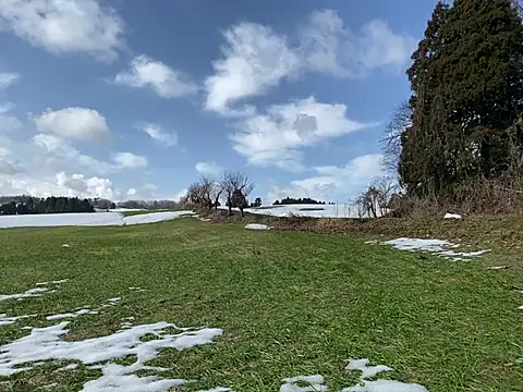 Snapshot of ge3noxxx chatting on March 6, 2025, 12:43 am ge3noxxx online show from March 6, 2025, 12:43 am