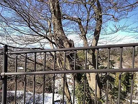 Snapshot of ge3noxxx chatting on January 7, 2026, 2:36 am ge3noxxx online show from January 7, 2026, 2:36 am