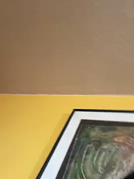 Noviostoxico online show from December 4, 2025, 2:04 pm