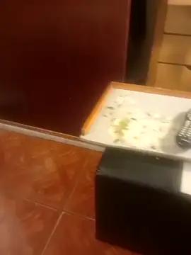 jmliimonsito online show from April 3, 2026, 11:36 pm