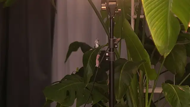 EmilyRaymont online show from October 6, 2025, 4:10 am