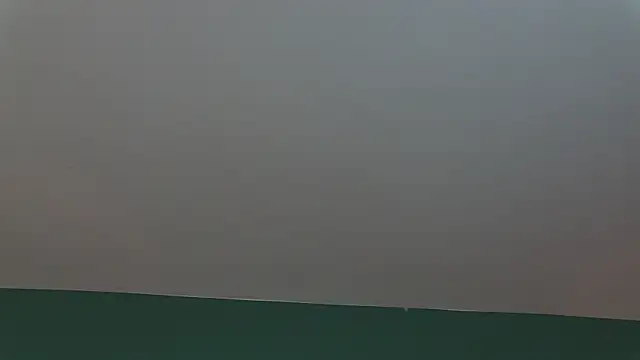 AlicePirs online show from January 25, 2025, 5:40 am