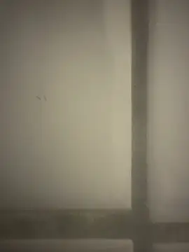 Snapshot of orient_zob chatting on February 19, 2026, 12:39 am orient zob online show from February 19, 2026, 12:39 am