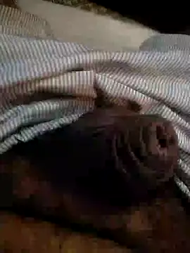 Snapshot of Kinkyluvi chatting on January 6, 2025, 11:42 pm Kinkyluvi online show from January 6, 2025, 11:42 pm