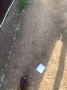 Snapshot of DManL chatting on November 13, 2025, 4:44 am DManL online show from November 13, 2025, 4:44 am