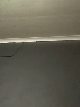 Snapshot of DManL chatting on November 30, 2025, 5:06 pm DManL online show from November 30, 2025, 5:06 pm