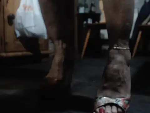 eva2023sexy online show from February 5, 2026, 9:08 pm