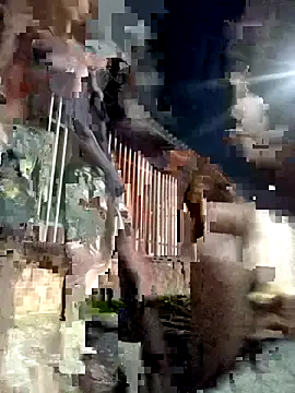 Gutierrez6383 online show from April 21, 2026, 4:52 am