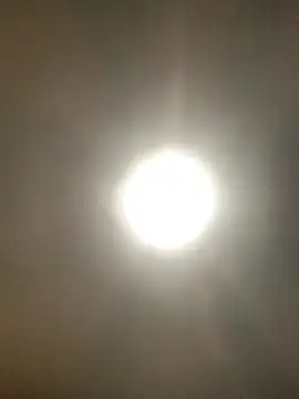 Snapshot of valleyoneofakind chatting on October 20, 2025, 3:34 pm valleyoneofakind online show from October 20, 2025, 3:34 pm