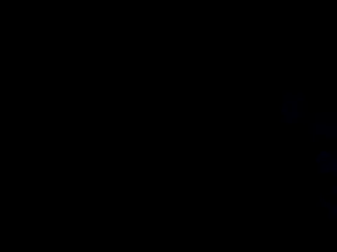 ditchwater online show from February 28, 2025, 11:47 am