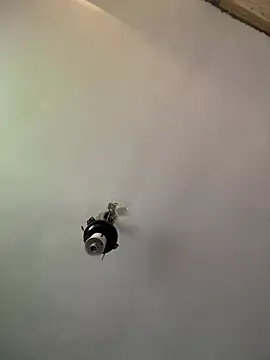 Brando2585 online show from April 3, 2026, 1:42 pm