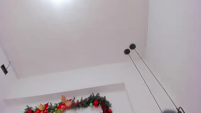 penelope handaos online show from December 13, 2024, 9:46 am