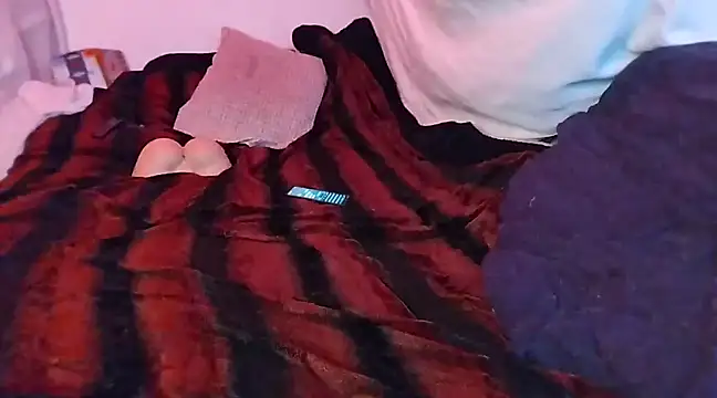 Snapshot of BushBator chatting on February 21, 2025, 7:56 am BushBator online show from February 21, 2025, 7:56 am