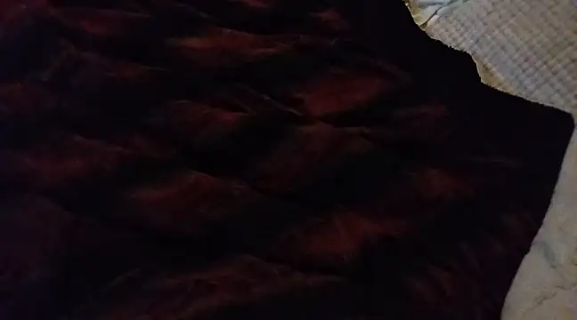 Snapshot of BushBator chatting on March 4, 2025, 6:29 pm BushBator online show from March 4, 2025, 6:29 pm