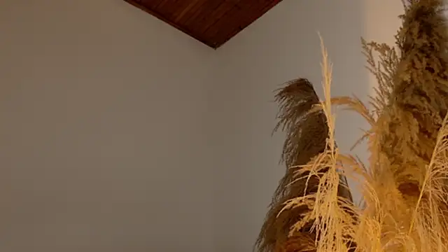 Snapshot of SaraFerreira chatting on December 12, 2024, 11:47 pm SaraFerreira online show from December 12, 2024, 11:47 pm