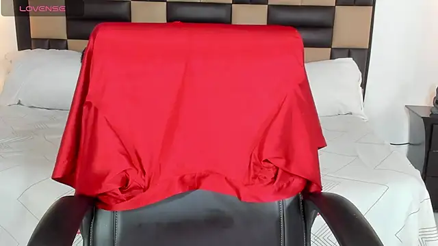 BonnyDelux online show from December 5, 2024, 12:22 pm