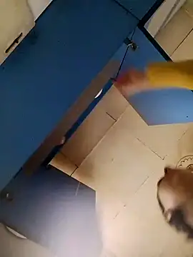 Snapshot of Gussie_Bridie chatting on October 24, 2025, 4:53 am Gussie Bridie online show from October 24, 2025, 4:53 am