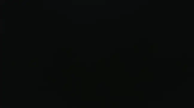 SonSett online show from January 24, 2025, 1:35 am