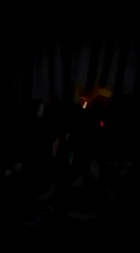 bogbosdick online show from February 22, 2025, 3:12 am