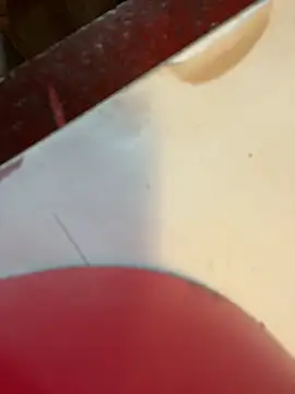 joeycbigcock online show from January 2, 2025, 3:19 pm