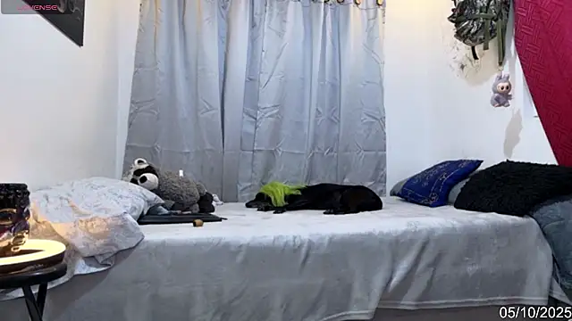 Snapshot of alejo_cute chatting on October 6, 2025, 8:28 pm alejo cute online show from October 6, 2025, 8:28 pm