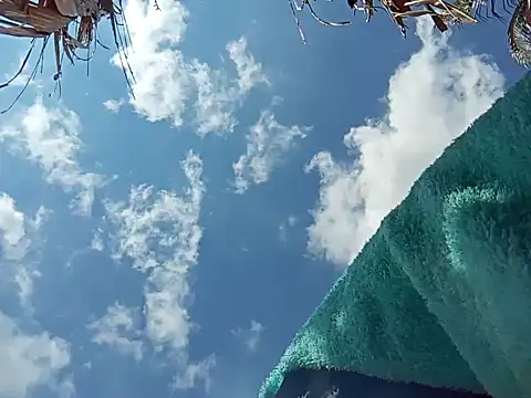 Snapshot of natally_ross21 chatting on December 8, 2024, 3:45 pm natally ross21 online show from December 8, 2024, 3:45 pm