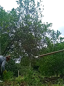 Snapshot of natally_ross21 chatting on February 21, 2025, 12:50 pm natally ross21 online show from February 21, 2025, 12:50 pm