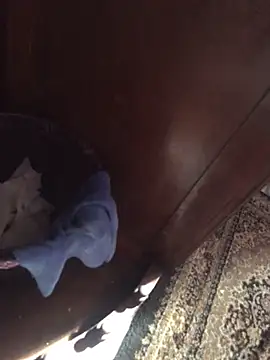 Snapshot of TangoingSorbet chatting on November 2, 2025, 10:17 am TangoingSorbet online show from November 2, 2025, 10:17 am