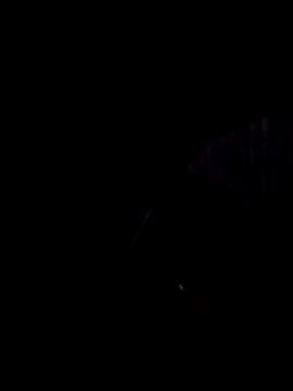 Snapshot of StaciGoodman chatting on February 1, 2025, 1:44 am StaciGoodman online show from February 1, 2025, 1:44 am